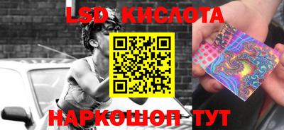 стаф Берёзовский