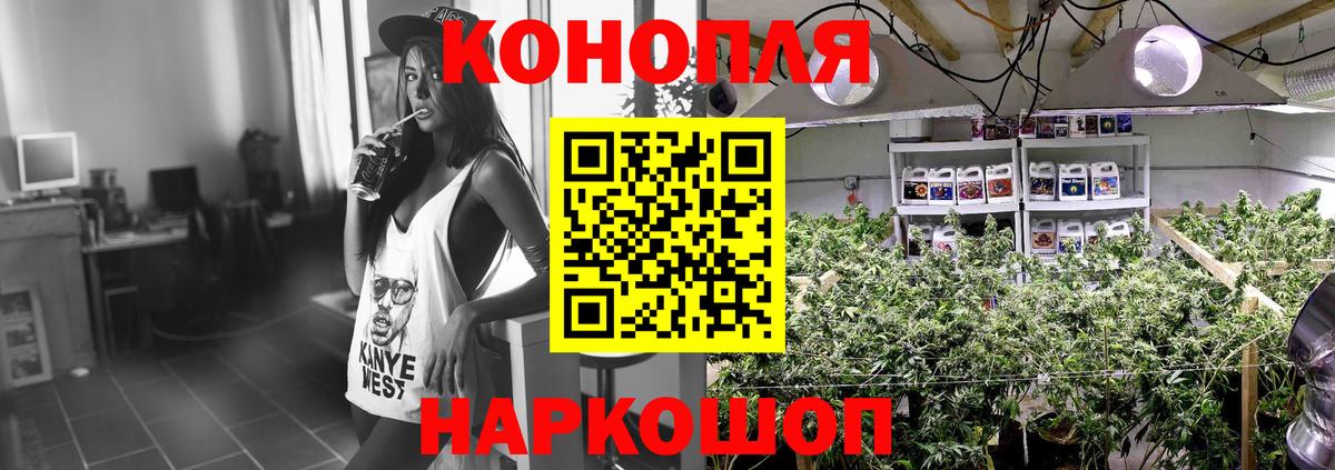 Шишки марихуана Ganja Грозный